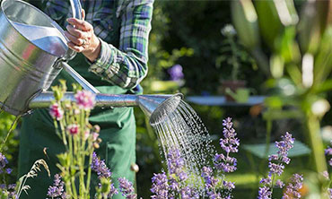 Jul 3 Secret Confessions of a Landscape Professional